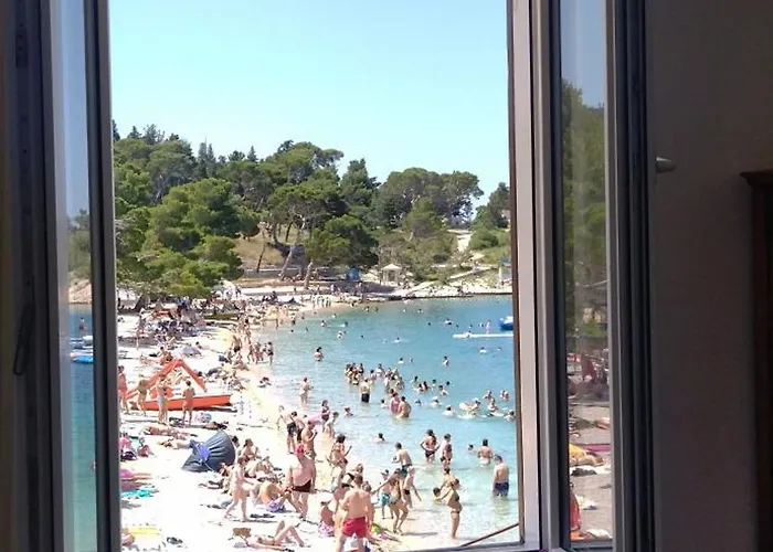 Riviera - Zuta Kuca *