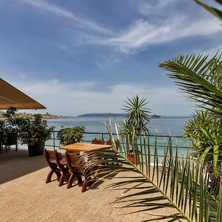 Riviera - Zuta Kuca *