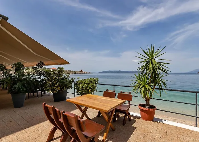 Riviera - Zuta Kuca *