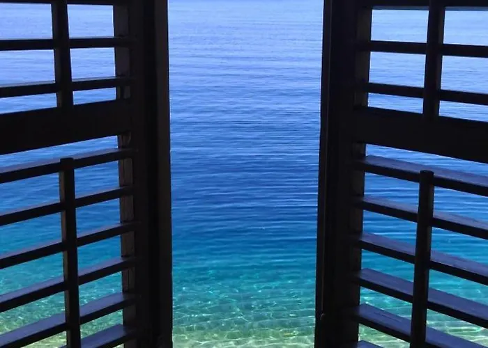 Riviera - Zuta Kuca Vendégház *