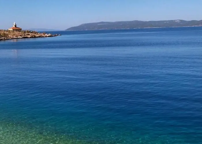 Riviera - Zuta Kuca *