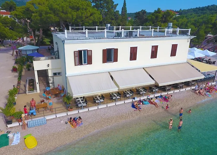 Gasthuis Riviera - Zuta Kuca