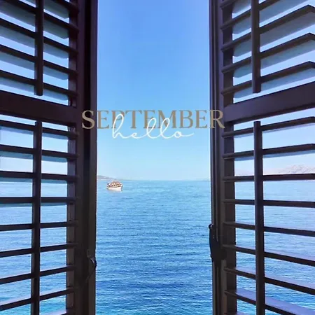 Riviera - Zuta Kuca Πανσιόν