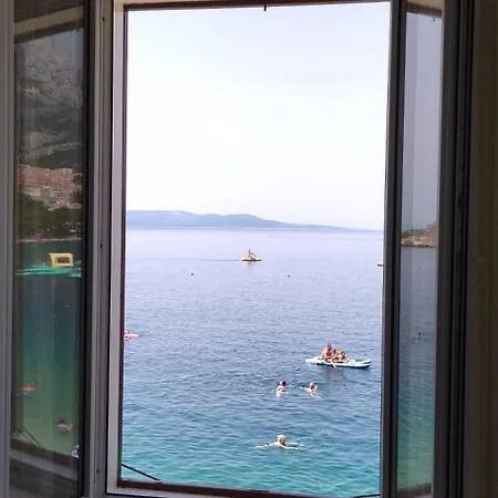 Riviera - Zuta Kuca Πανσιόν